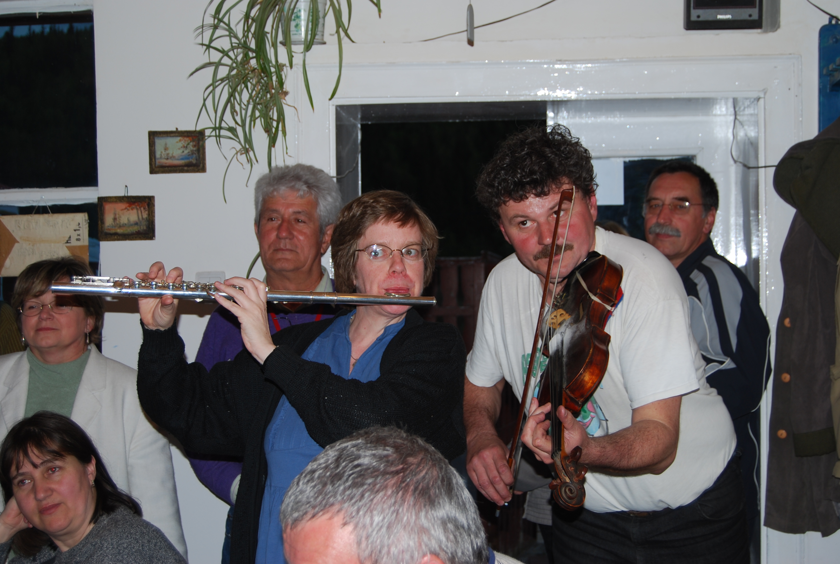 Muzikanten in Roemenië